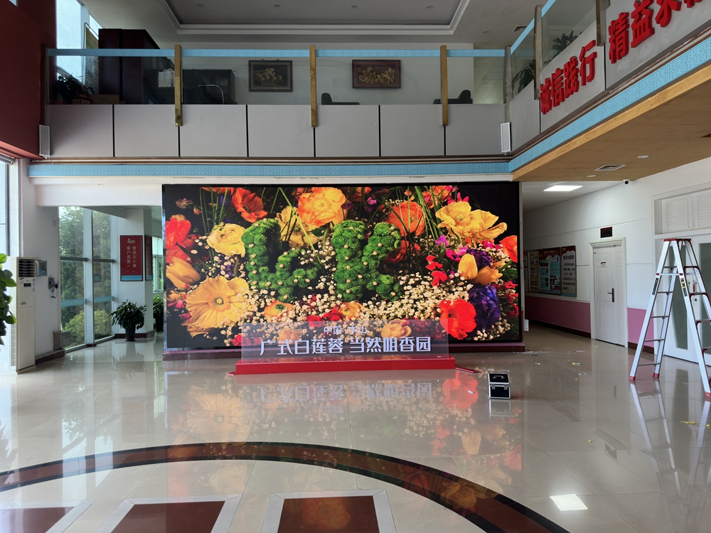 Installation of Zhongshan Zuxiangyuan